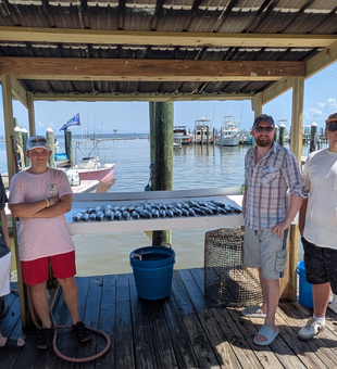 Reeling in the big catch at Fort Morgan Marina on a partly cloudy day!