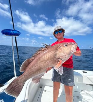 Make the most of Gulf Shores fishing with versatile trips covering both inshore and offshore waters