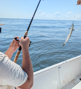 Reeled in a tasty Spanish mackerel with some tricky deep sea fishing techniques in Gulf Shores, AL!