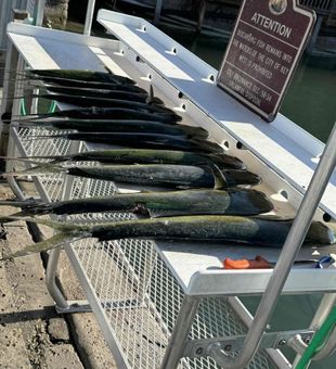 Another day well spent on the water