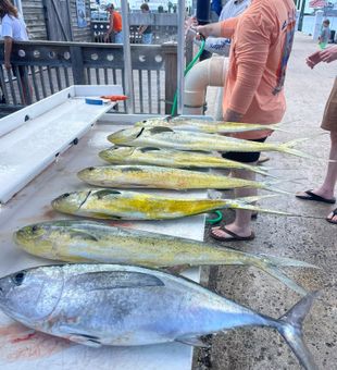 Key West fishing charter success