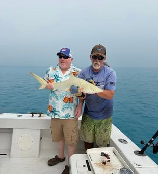 Target reef species in Key West with productive bottom fishing for snapper and grouper.