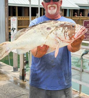 Beautiful red grouper from Key West waters!