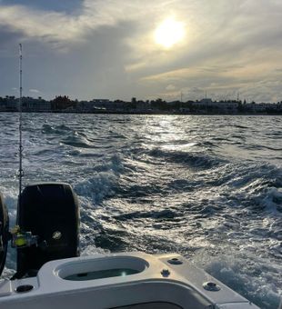 Sunlit offshore fishing action on the Gulf