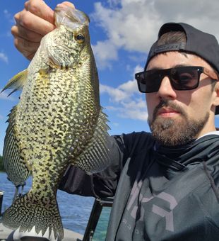 Crappie charter near Leech Lake