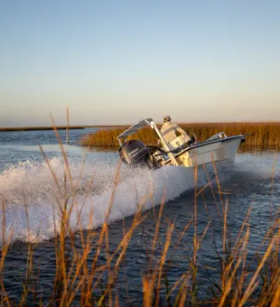 Hooked on the tranquility of Causeway Drive 109