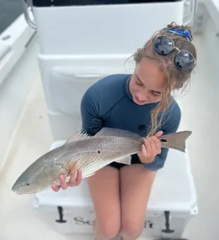 Reeling in the catch of the day in Wilmington's