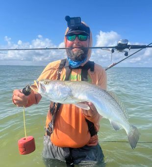Beautiful speckled trout from Aransas Pass Texas!