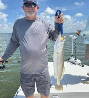 Big Speckled Trout catch on the bay!