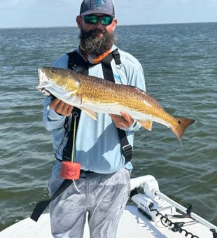 Big Redfish catch on the bay!