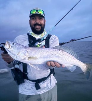 Beautiful speckled trout from Aransas Pass waters!