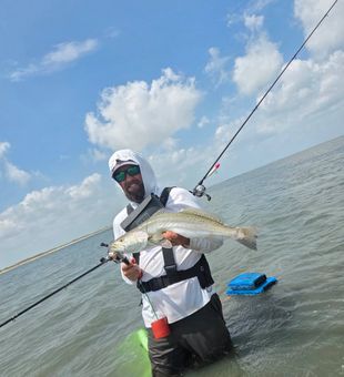 Lines in the water and steady focus