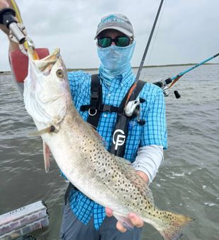 From Dock to Dinner in Texas
