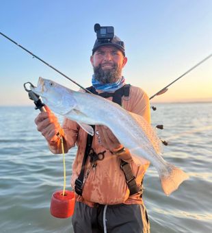 Nice squeteague from Aransas Pass waters!