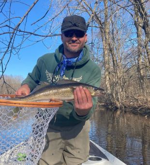 Walleye from Lake Butte des Morts