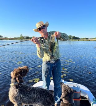 Bass Fishing In Lake Poygan