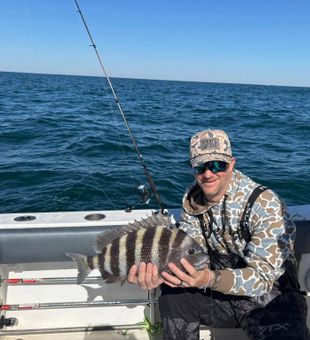 Reeled in a beautiful Sheepshead in Myrtle Beach