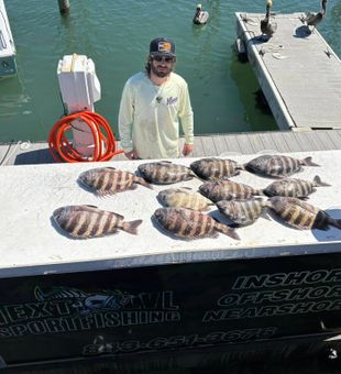 Experienced Angler with his kept Sheepshead catch