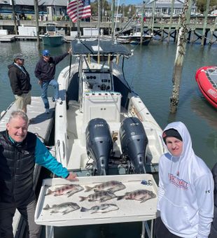 Sheepsheads are biting this season in Myrtle Beach