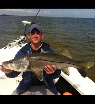 Captivating Inshore Fishing Action Shots, Snook 