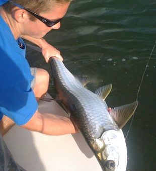 Tarpon Fishing Dreams Come True