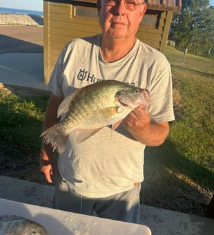 Grenada Lake = endless crappie action.