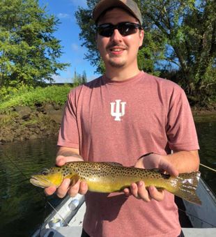 Brown Trout from White River