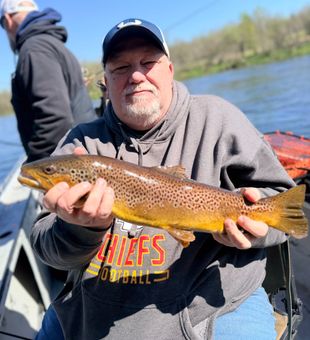 Beautiful brown trout from Cotter Arkansas waters!