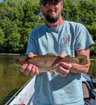 Beautiful rainbow trout from Cotter Arkansas waters!