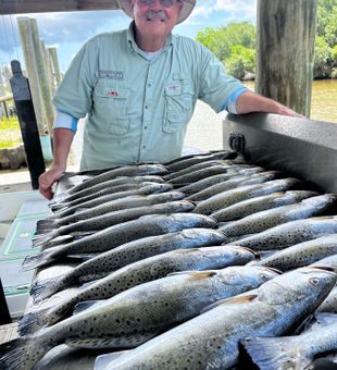 Table of big trout in Hopedale, Louisiana 
