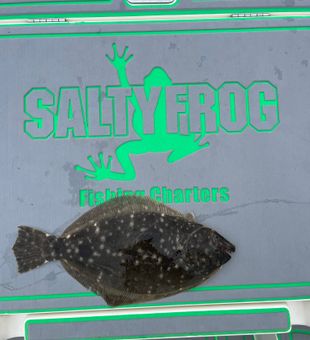 Nice Southern flounder from St Bernard Louisiana waters!
