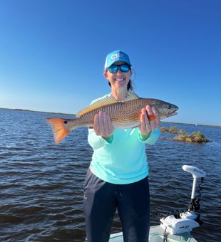 Marsh redfish