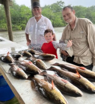 Outstanding St Bernard redfish haul delivered!