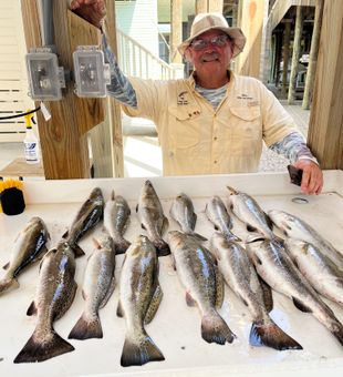 Outstanding speckled trout and kingcroaker action in St Bernard!