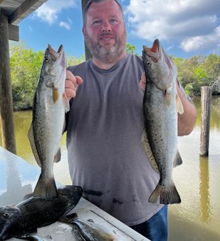  If trout in Hopedale 