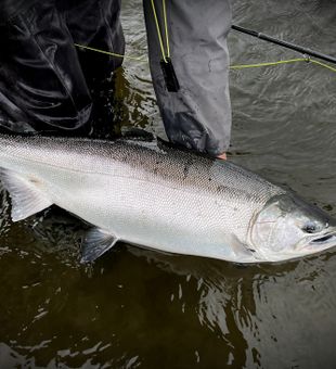 Nothing but fish on this remote river