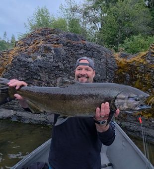 Powerful Chinook Salmon Catch