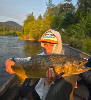 Beautiful Central Point Oregon Chinook salmon!