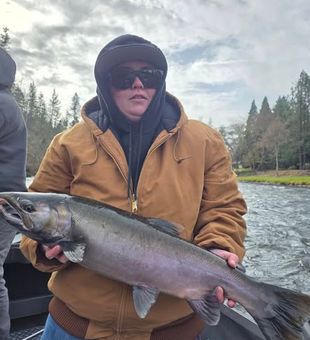 Salmon Catch now, Meaty Lunch later. - Central Point, OR.