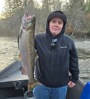 These waters are teeming with Salmon! - Central Point, OR.