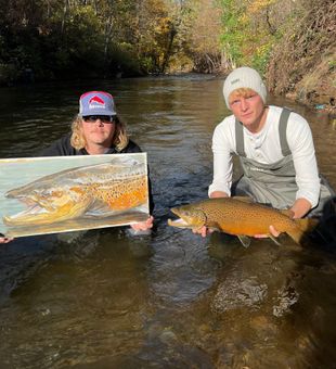 Early light and active trout.