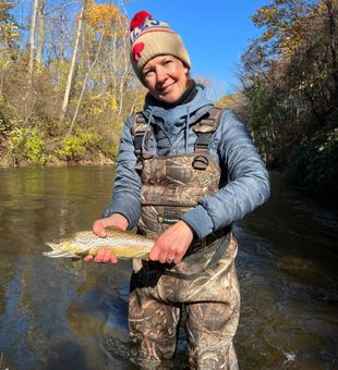 Browns hugging the current seams.