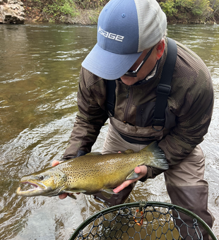 Nice sea trout on the fly! Autumn colors made for an exciting day on the water.