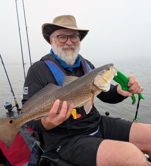 Nice Tallahassee redfish hitting the mark perfectly!