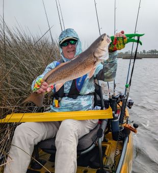 Beautiful Tallahassee redfish making the day!