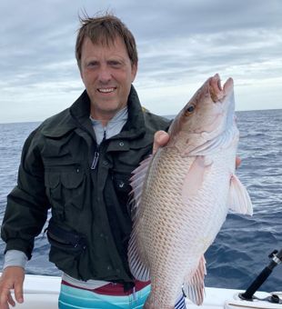 Mangrove Snapper in Space Coast Fishing Trip!