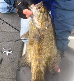 Best Wisconsin Walleye Fishing