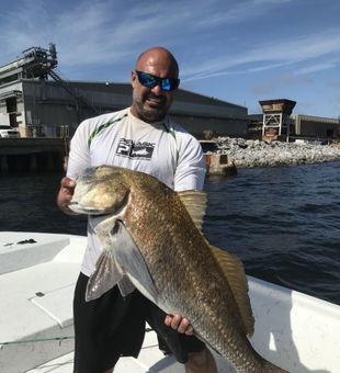 Discover inshore wonders, Pensacola style.