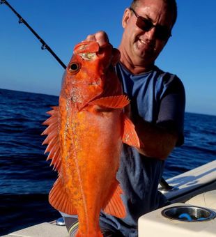 Fiery rockfish!