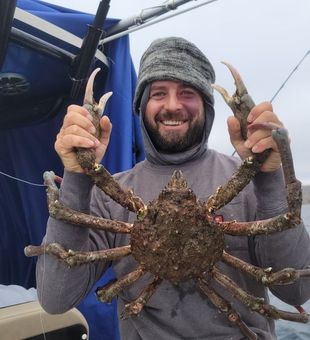 King Crab - Santa Barbara, CA.